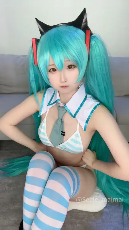 2024-07月 初音 - Seele麦麦